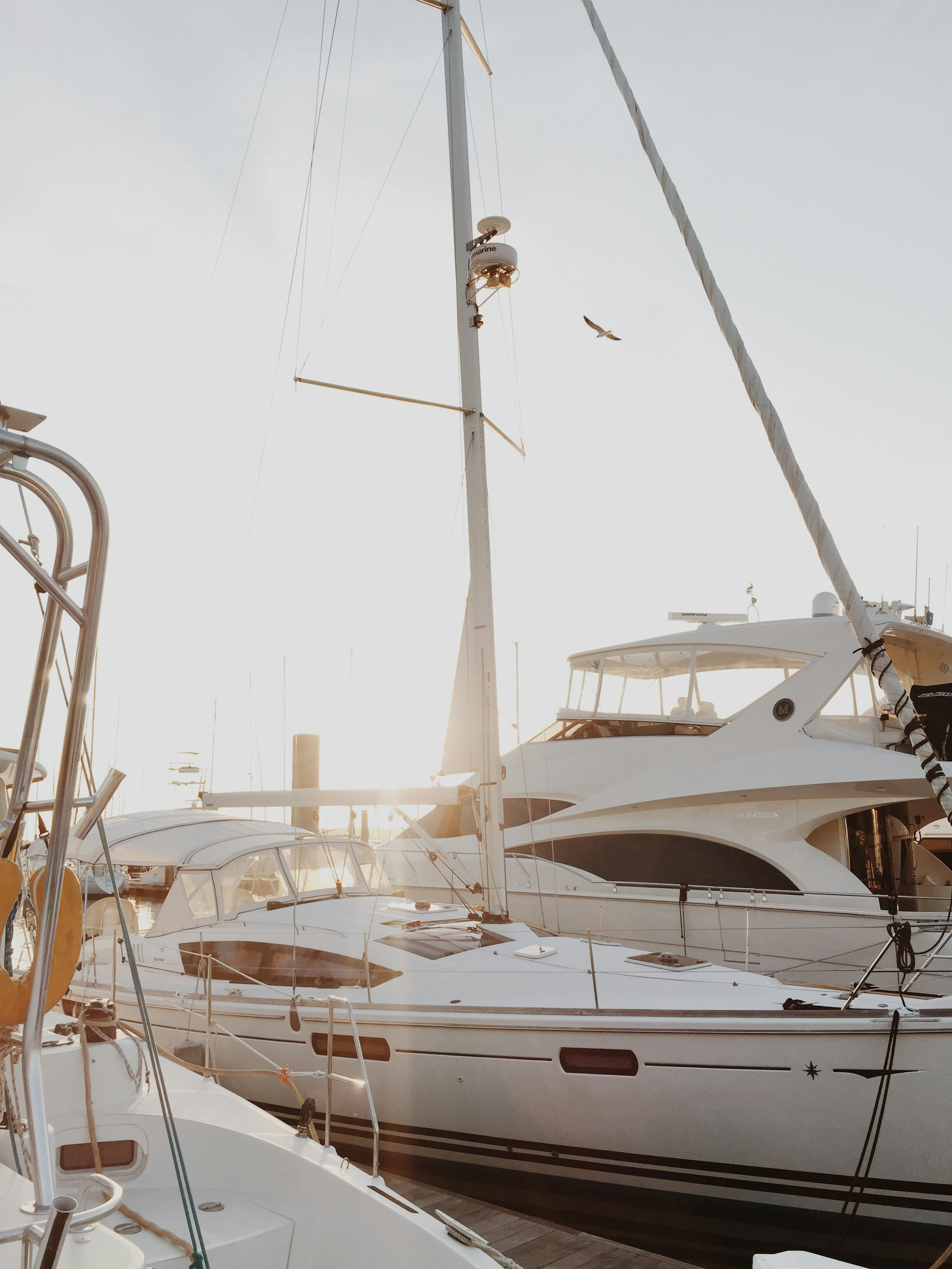 A flybridge yacht moored in a bright coastal marina